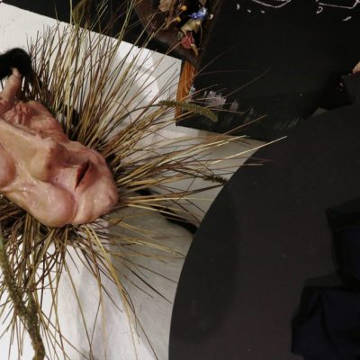 What Did You Feed Me