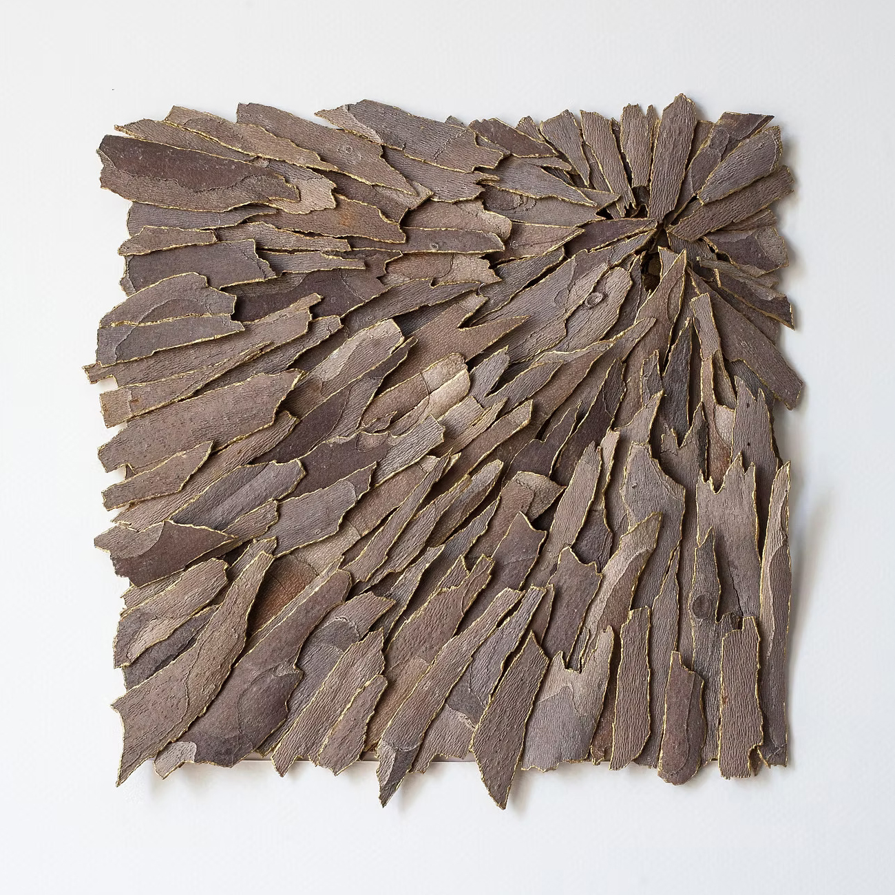Bark