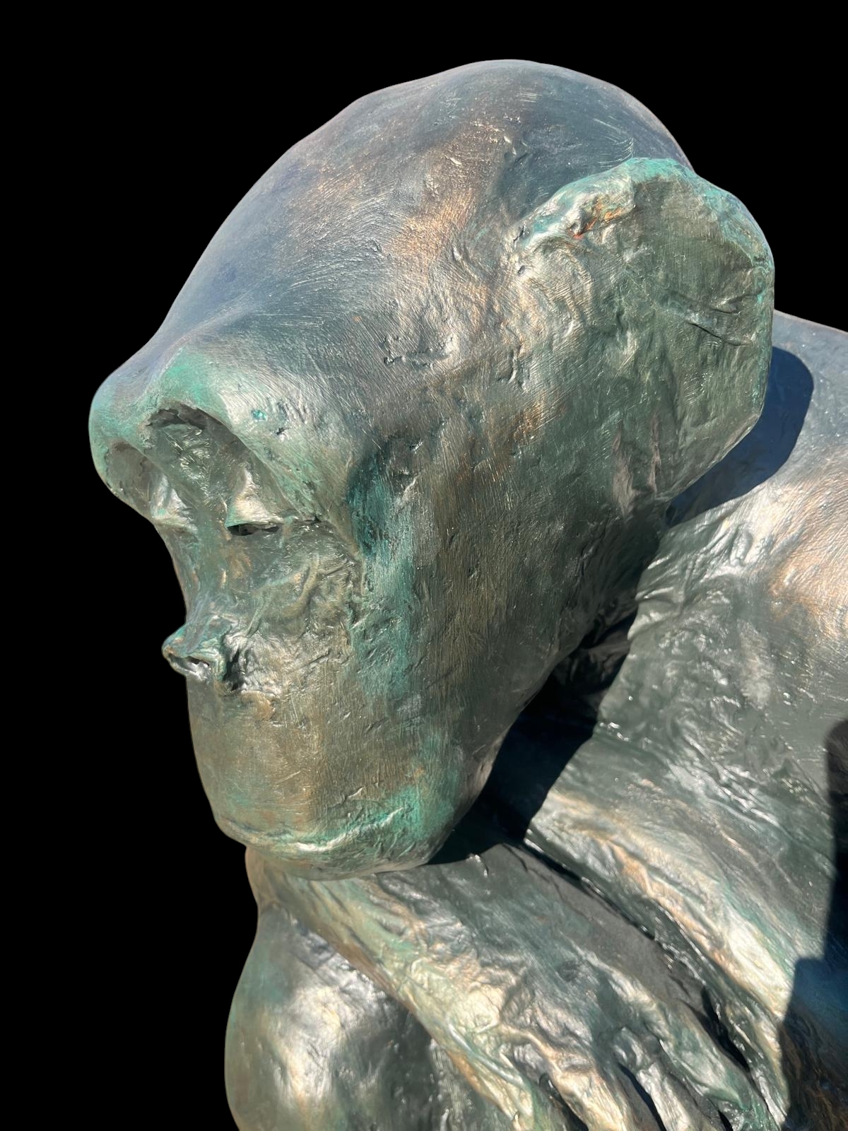 Chimpanze detail