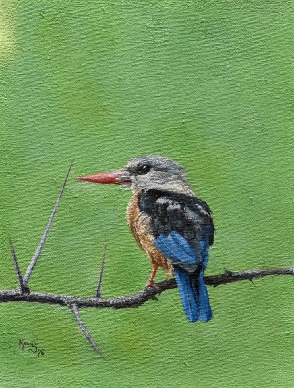 Grey-headed Kingfisher