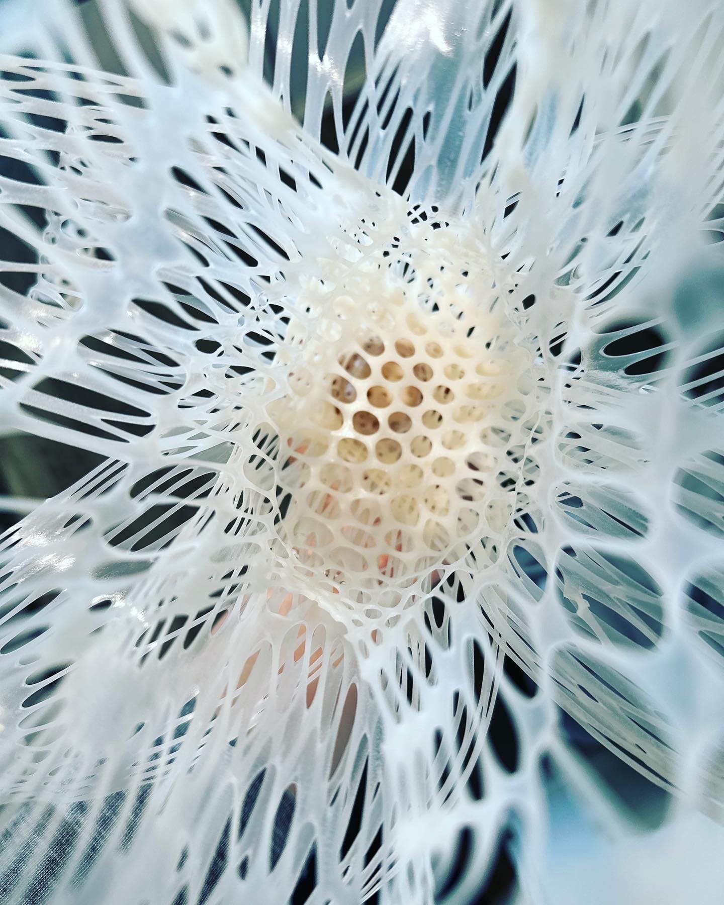 Interweave 02