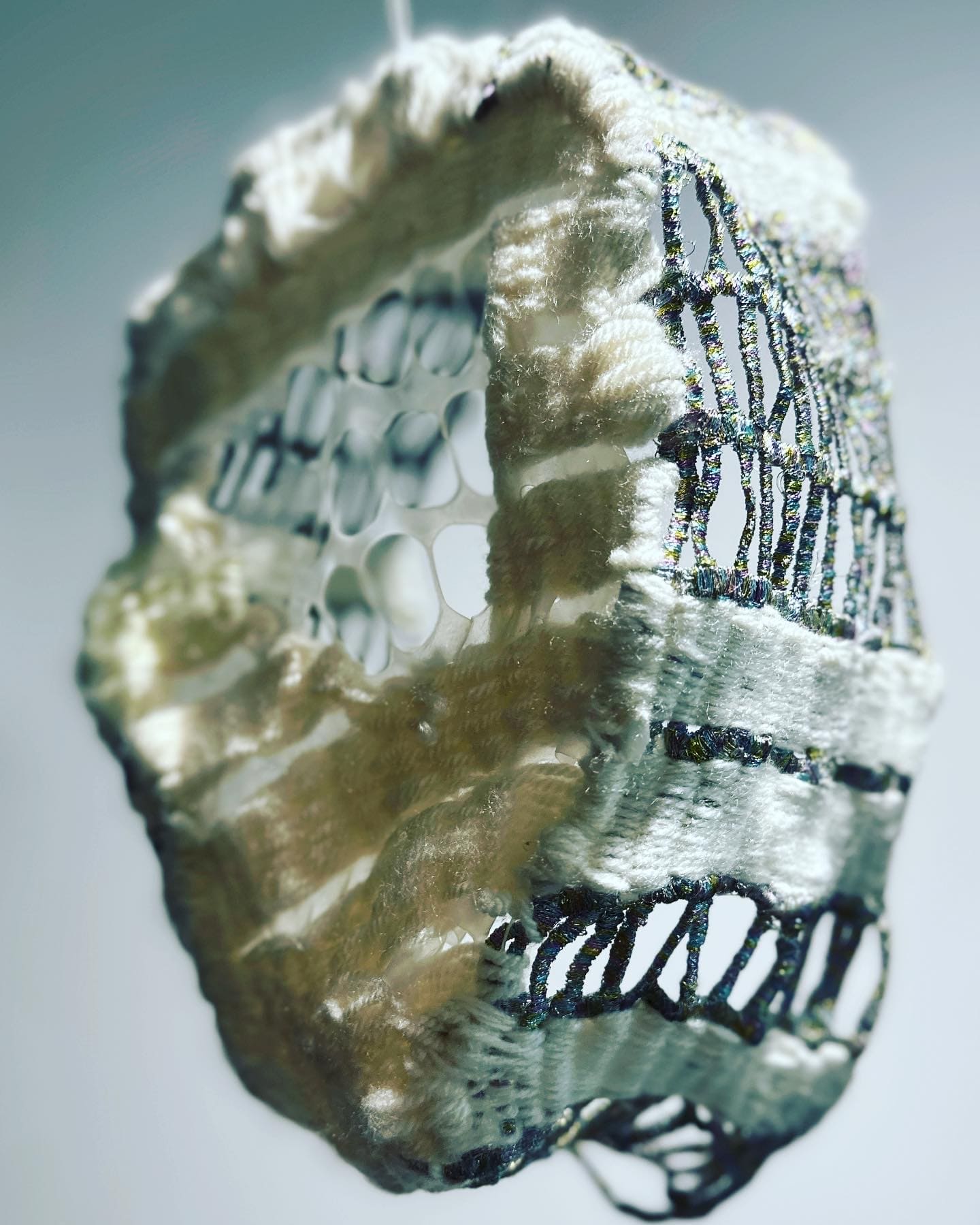 Interweave Cartilage pelvis 05