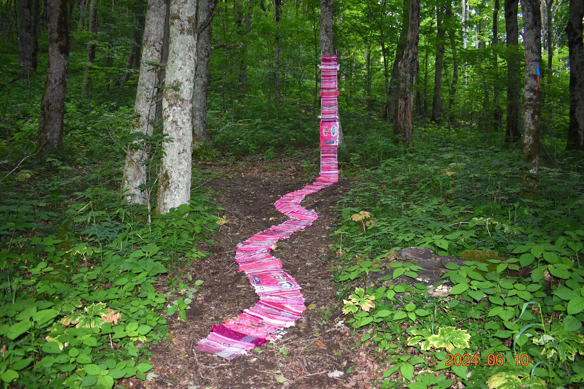 Pink snake