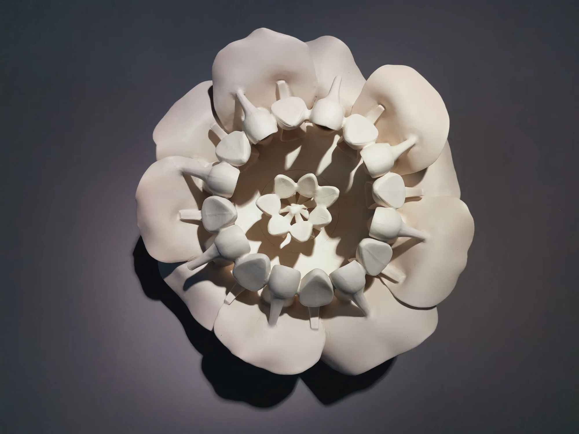 Piranha Flower