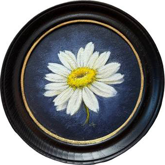 Portrait of a Daisy