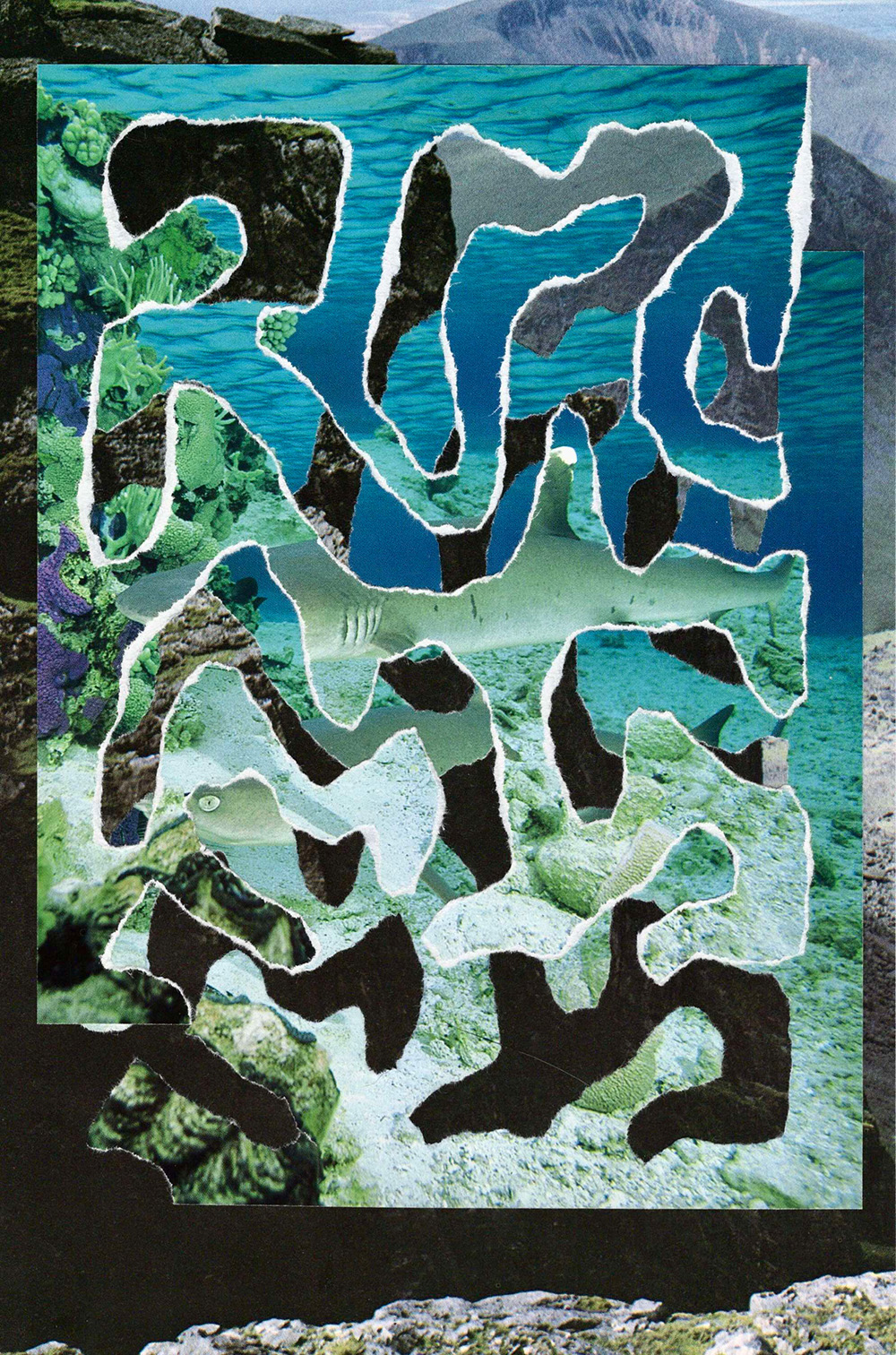 Reef