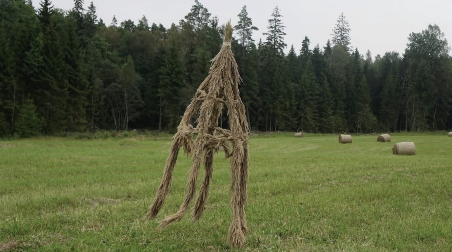 Skeleton of a haystack