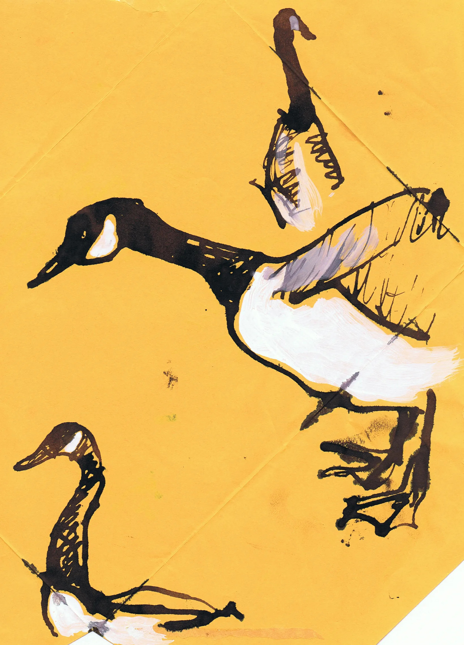 Sketches of Thames geese