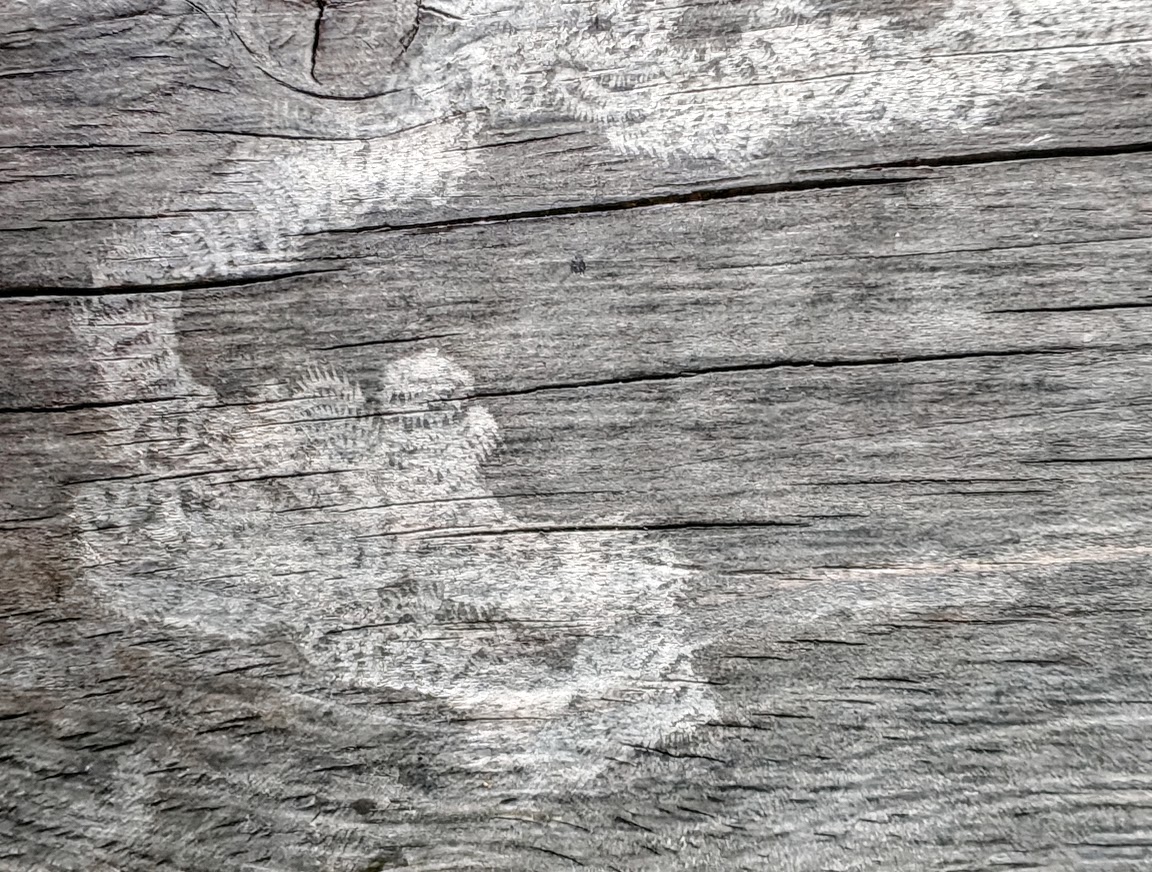 Snail Drawing Park Bench