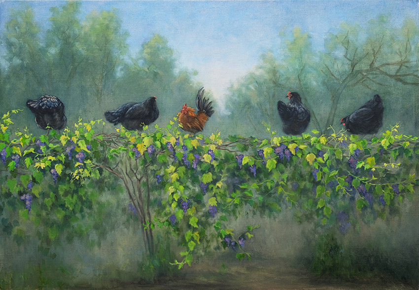 The chickens are eating grapes