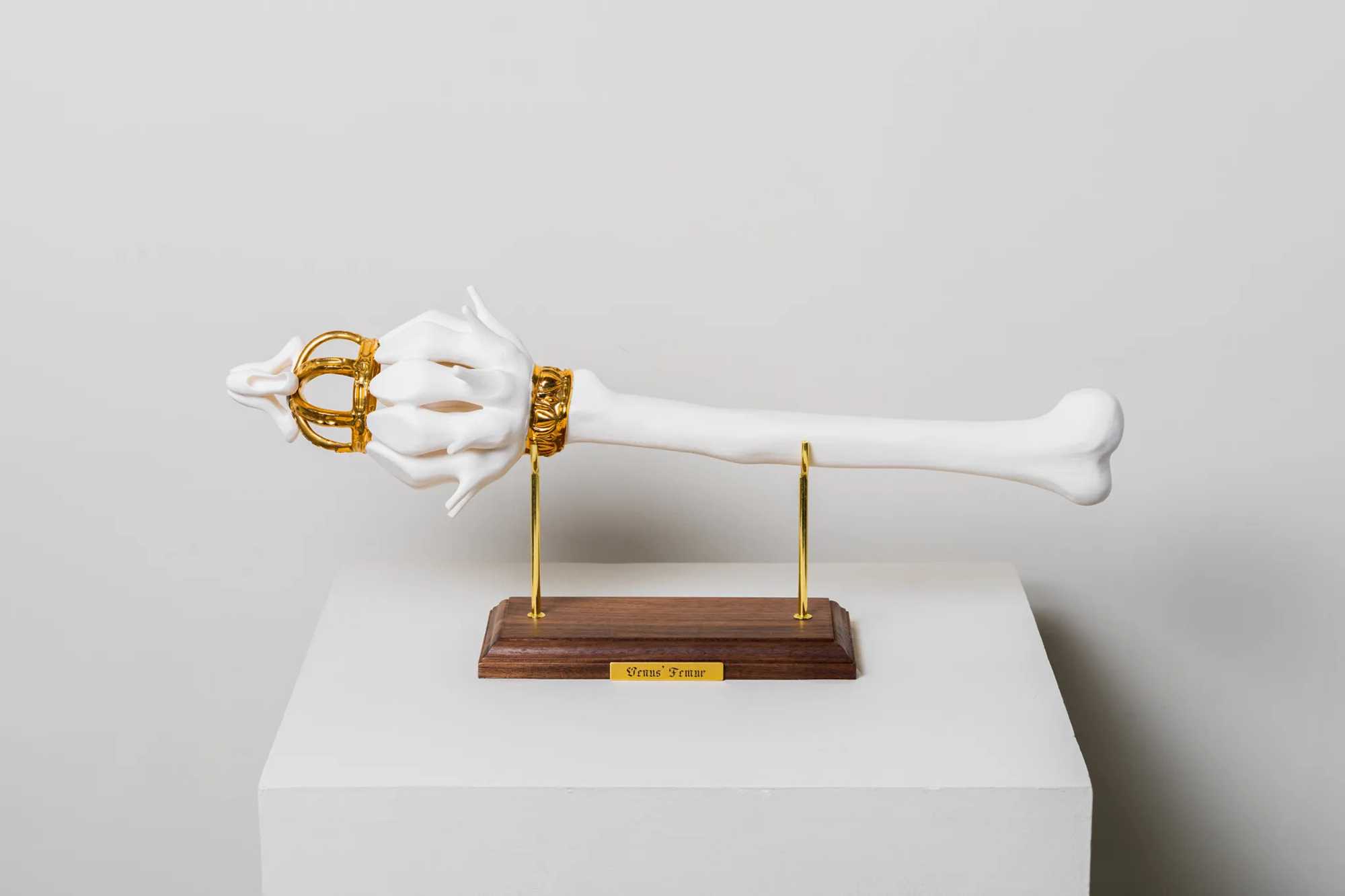 Venus Femur