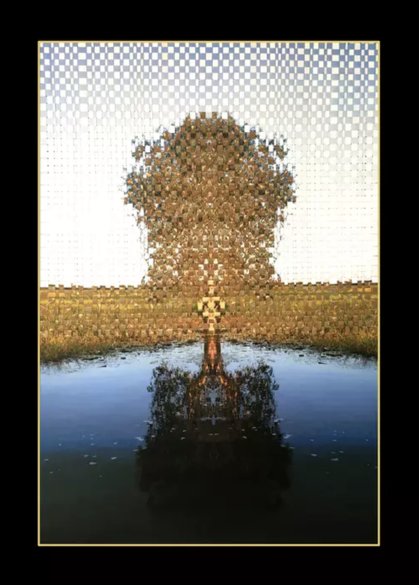 Woven family tree