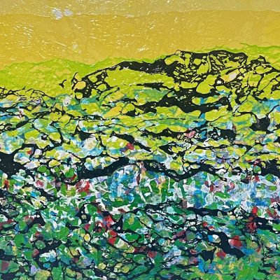 A Flower Field