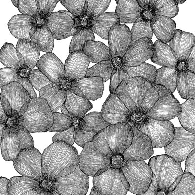 Alamanda