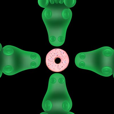 Aligators and The Donut