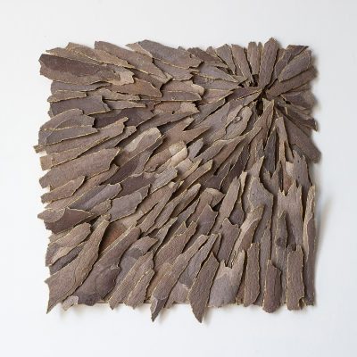Bark