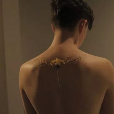 Becoming Plant