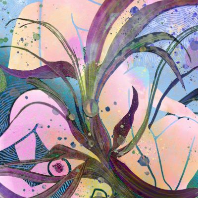 Blooming Fragments
