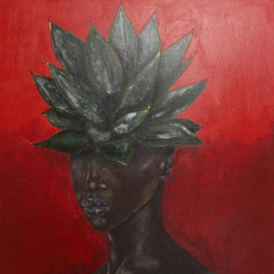 Cabinet Of Curiosities A botanical exploration