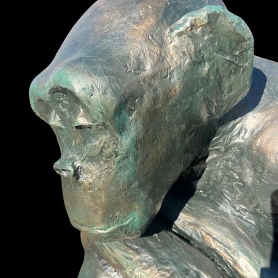 Chimpanze detail