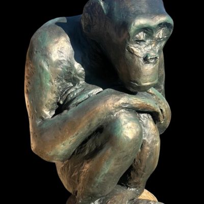 Chimpanze