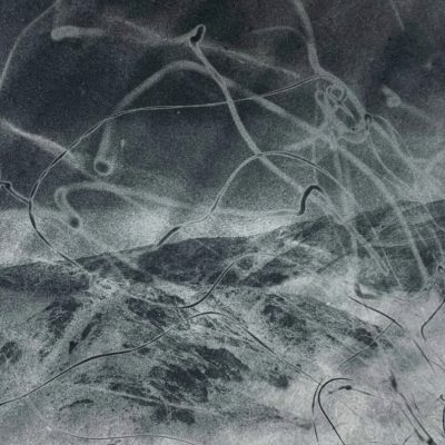 Fibers