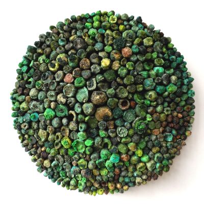 Green Internode