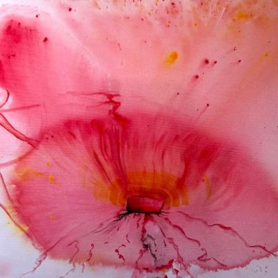 Hatching of Life