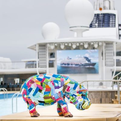 ICART Hippo