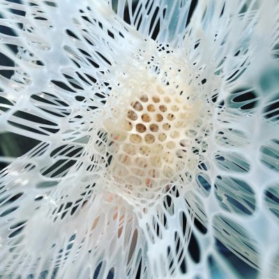 Interweave 02