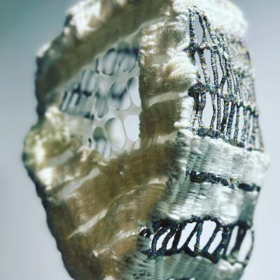 Interweave Cartilage pelvis 05