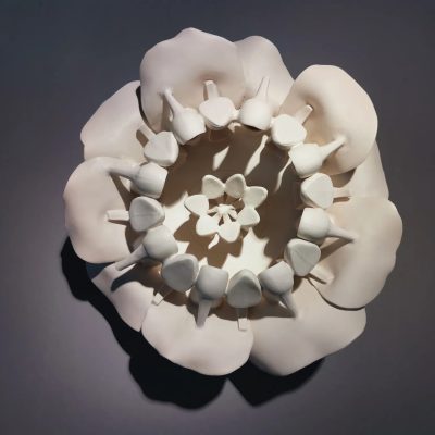 Piranha Flower
