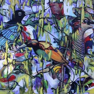 Png Birds 2
