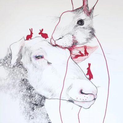 Rabbitblownkiss