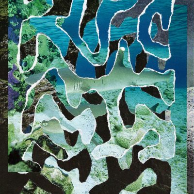 Reef