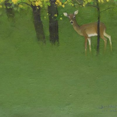 Silent Encounter