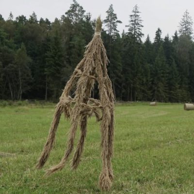 Skeleton of a haystack