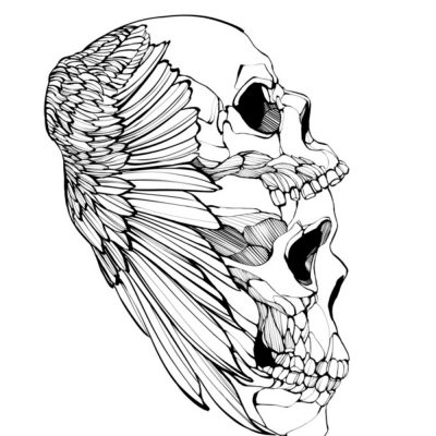 Skull 1