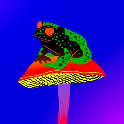 The Psychedelic Frog