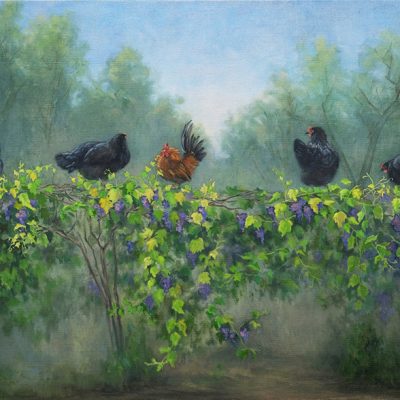 The chickens are eating grapes