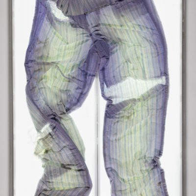 The pants were shredded by a dog