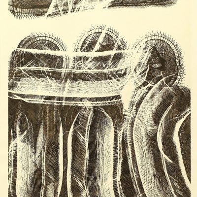 The power of the family union