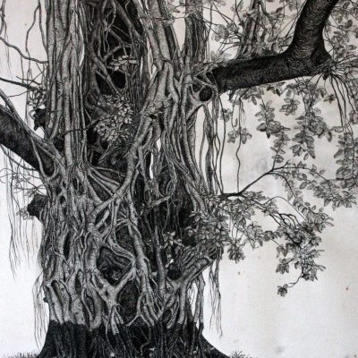 Tree Study