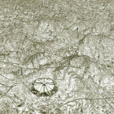 Unseen Visible Factors