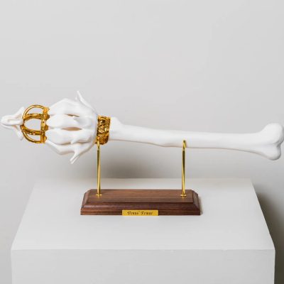Venus Femur