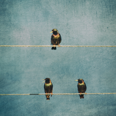 Wired Conversations