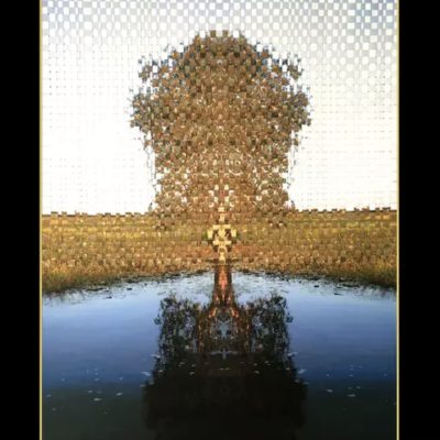Woven family tree