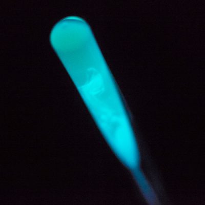 one-luminous-dot-bioluminescent-light-installation-by-teresa-van-dongen-21